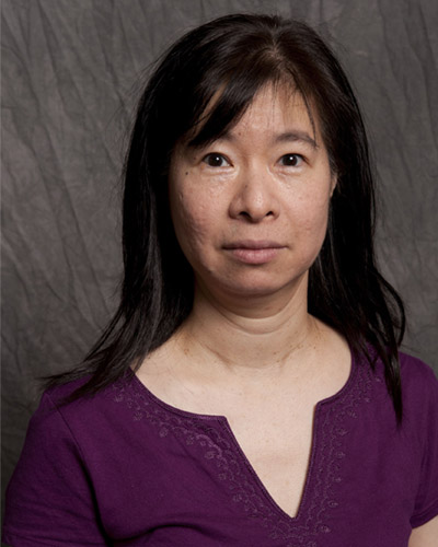 Chin-Hsing Annie Lin, Ph.D.