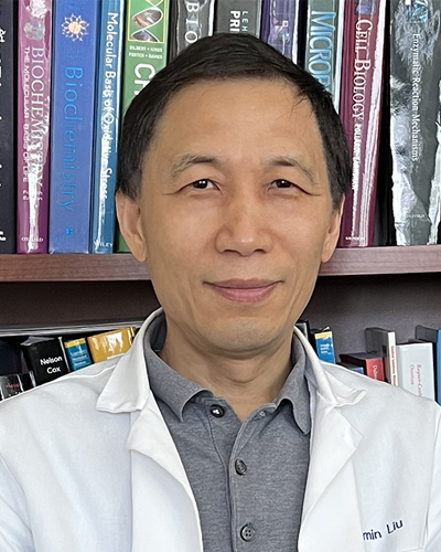 Aimin Liu, Ph.D.