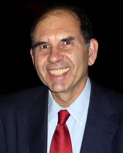 Nikos Salingaros, Ph.D.