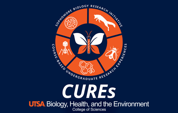 SBRI CURE logo