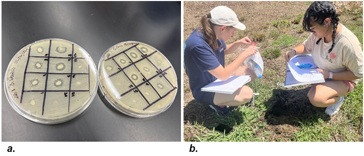  antimicrobial compounds and students collecting soil samples