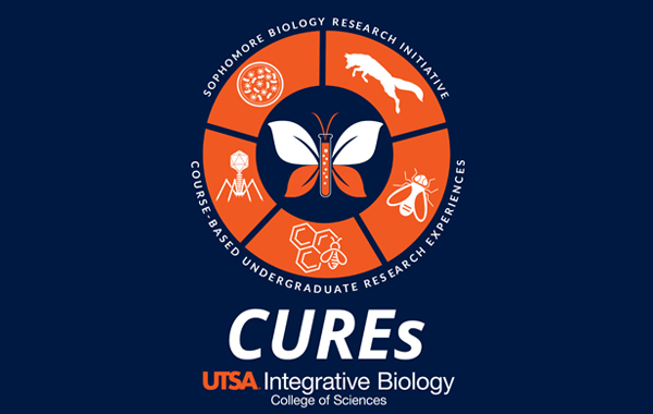 SBRI CURE logo