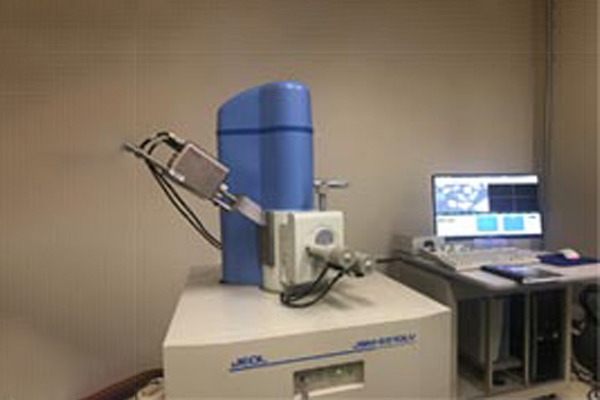 scanning electronic microscope