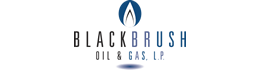 BlackBrush Oil & Gas L.P. logo