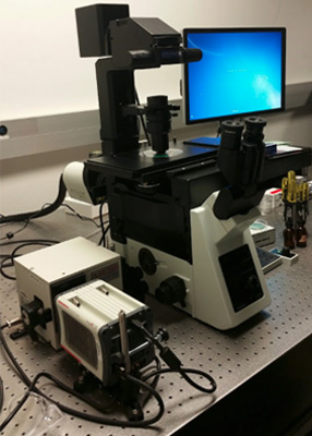 Optical microscope Ocean Optics, USB 2000+UV-VIS-ES controlled by computer through LabVIEW