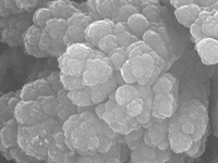 carbon microstructure particles