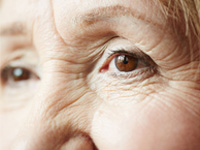 eyes
