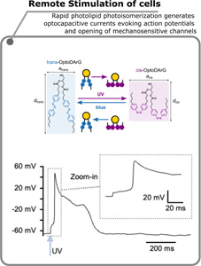 remote stimulation of cells graph