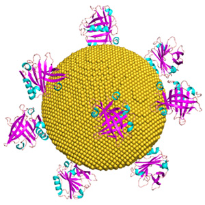 nano image