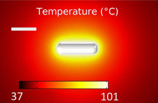 temperature
