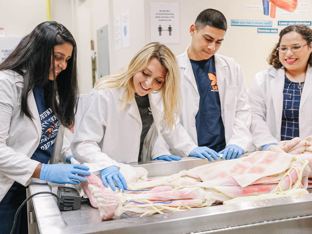 Bachelor's Degree in Health Sciences