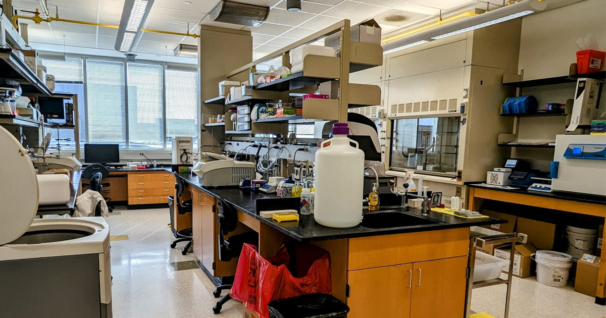 Schmidpeter Lab