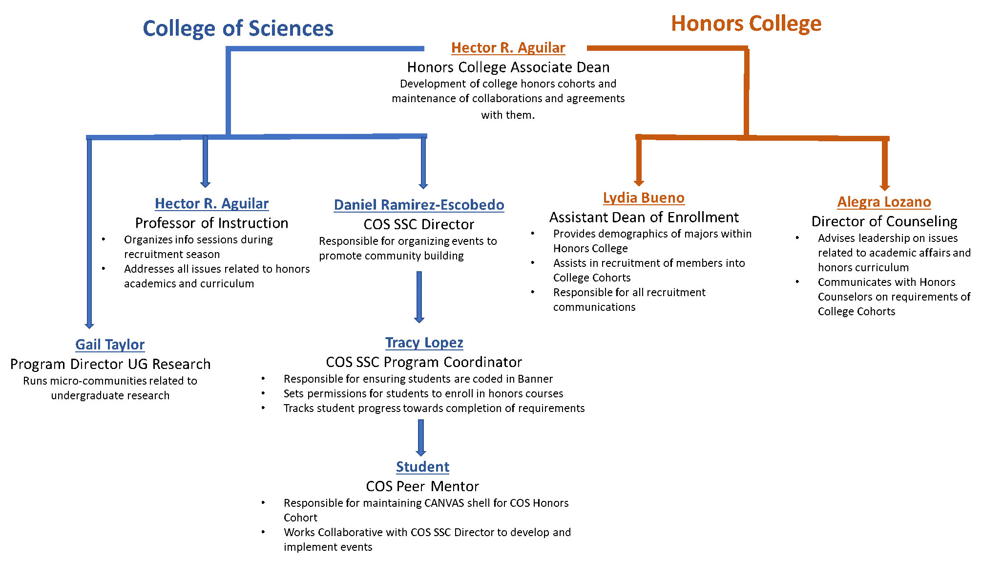 Honors organizational chart