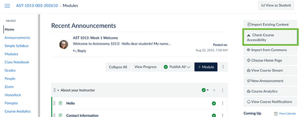 Check course accessibility option