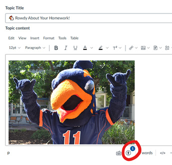 accessibility checker