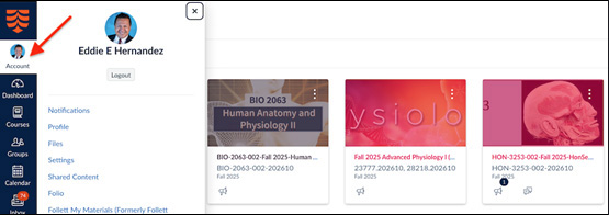 Account option on Canvas navigation box