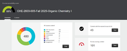 Canvas Overall Accessibility Score example