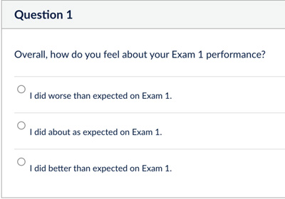 question 1: how do you feel about your exam performance