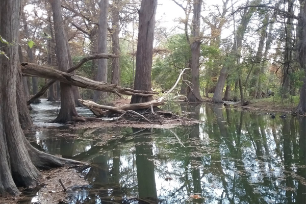 Cibolo Creek