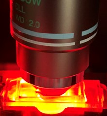 microscope and slide