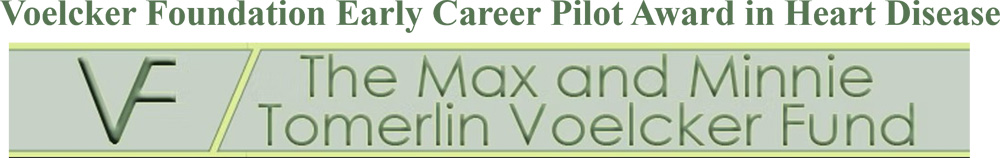 Max and Minnie Tomerlin Voelcker Fund logo