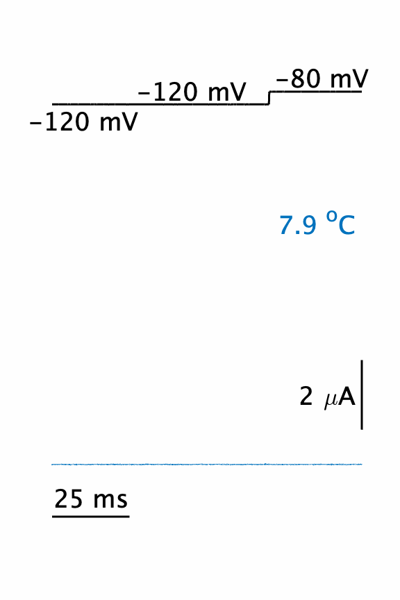 animated temperature graph