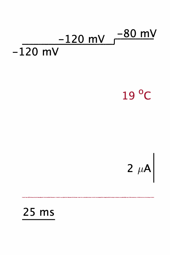 animated temperature graph