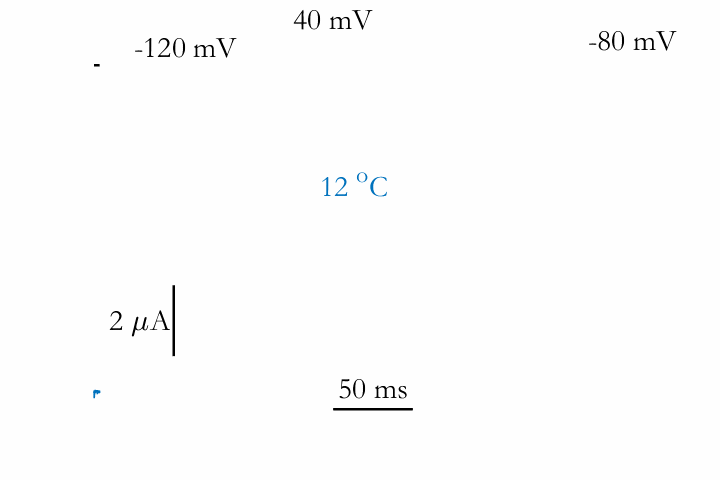 animated thermosensation chart