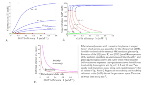 GLUT 1 graphs