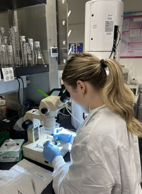student looking into microscope