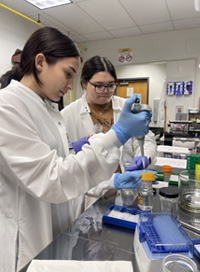 two students working in the lab