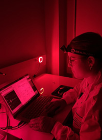 student working on laptop