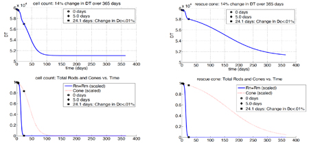 death kinetics ratios