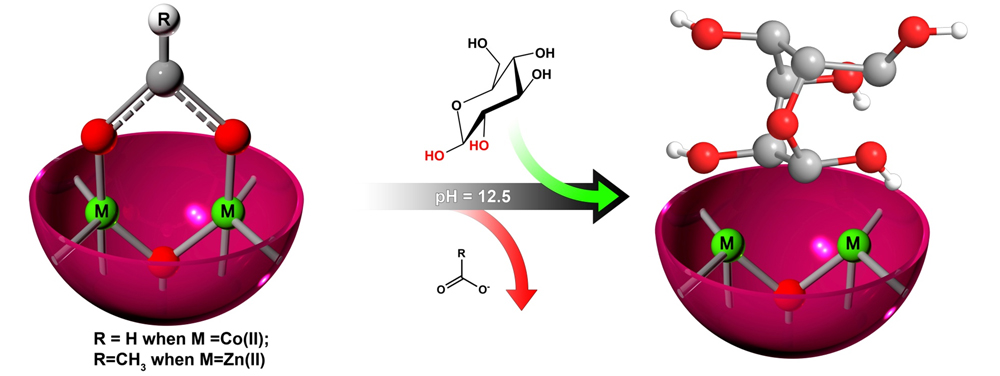 sugar-metal ion interaction