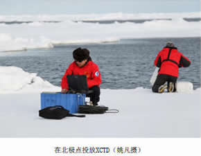 researchers preparing for research activity