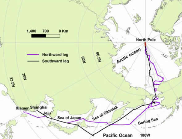map of cruise route