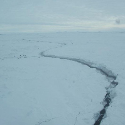 water track through the snow
