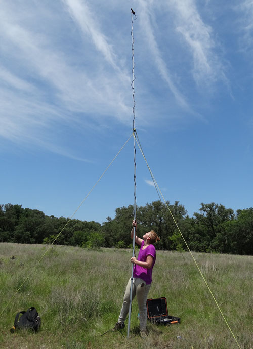 acoustic bat detector