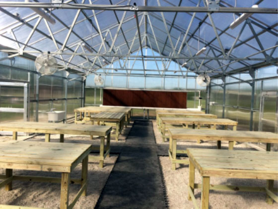 greenhouse interior