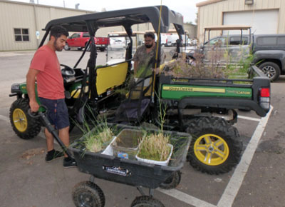 vehicle with plants