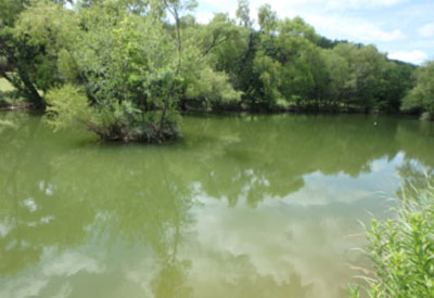 Leon Creek Greenway 