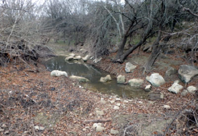 Leon Creek Greenway 