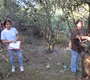 students measuring