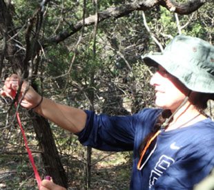 students measuring