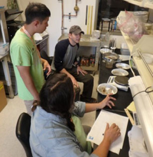 students inspecting samples