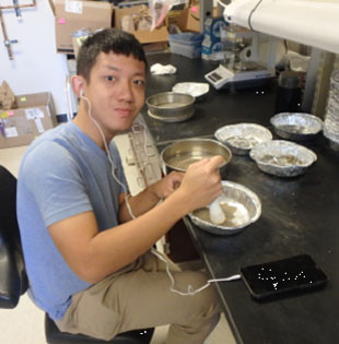 students inspecting samples