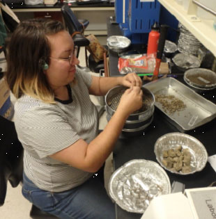 students inspecting samples