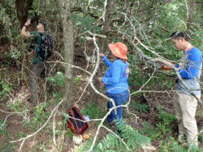 students in woods