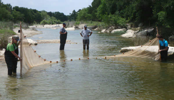 people with nets in creek