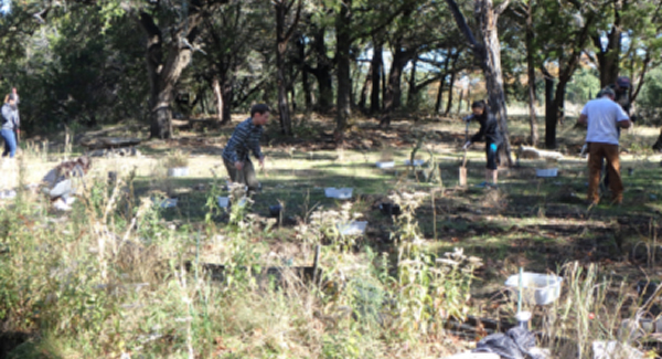 students planting grass